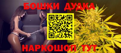 стаф Лесосибирск